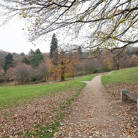 Beautiful Apartment In D Rnthal Near The Forest Voigtsdorf Eksteriør billede