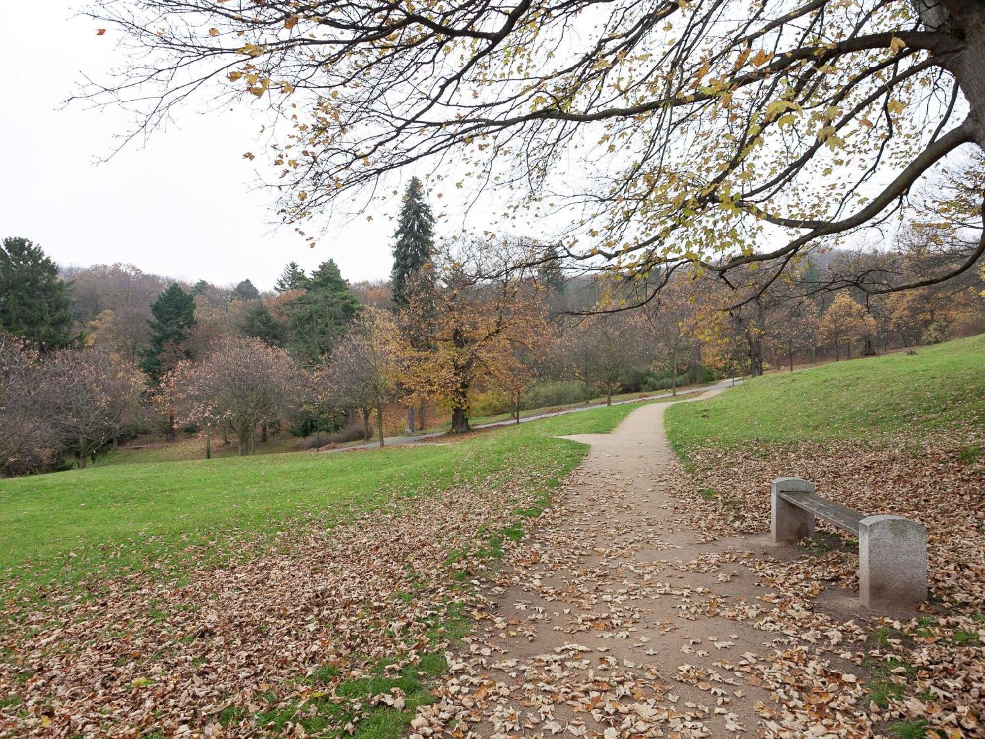 Beautiful Apartment In D Rnthal Near The Forest Voigtsdorf Eksteriør billede